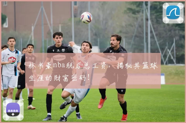 林书豪nba税后总工资，揭秘其篮球生涯的财富密码！